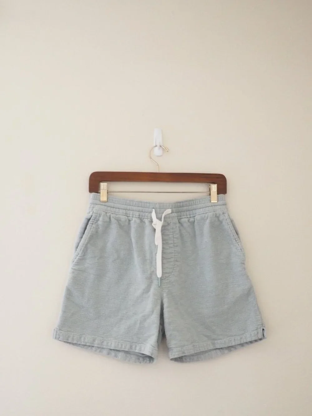Urban Outfitters Corduroy Volley Shorts sz S